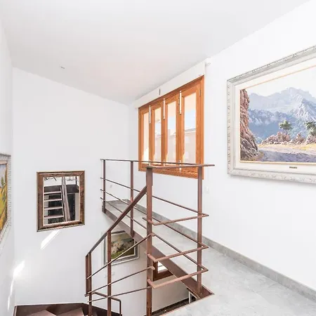 S Olivera Can Picafort (Mallorca)